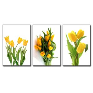 Bộ tranh hoa tulip màu vàng đẹp 3 bức