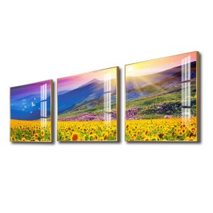 Bộ tranh tráng gương đẹp hình ảnh cánh đồng hoa hướng dương