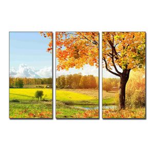 Bộ tranh đẹp cây là vàng và phong cảnh mùa thu