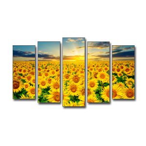 Bộ tranh cánh đồng hoa hướng dương ghép 5 tấm
