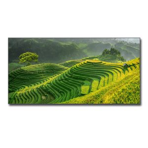 Mẫu tranh ruộng bậc thang đẹp khổ lớn
