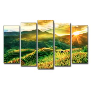 Mẫu tranh đẹp mặt trời trên ruộng lúa bậc thang