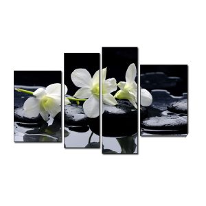 Tranh treo spa đẹp bông hoa lan trắng trên nền đen