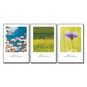 Tranh treo tường đẹp bộ 3 bức hoa cỏ thiên nhiên