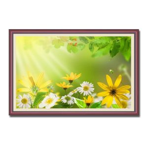 Bức tranh treo tường đẹp hình ảnh hoa cúc dưới ánh nắng vàng