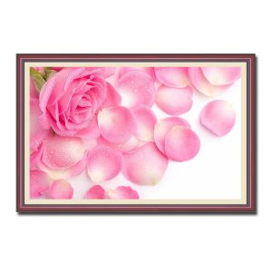 Bức tranh đẹp hoa hồng và những cánh hồng phai