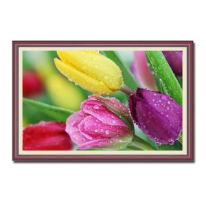 Tranh treo tường hoa tulip đẹp nhiều màu sắc