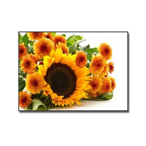 Bức tranh đẹp về hoa hướng dương
