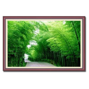 Bức tranh phong cảnh xanh mát con đường giữa rừng trúc