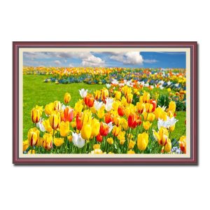 Bức tranh treo tường đẹp phong cảnh cánh đồng hoa tulip