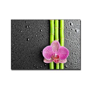 Bức tranh treo spa đẹp hình ảnh hoa lan trên 3 cành lộc