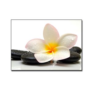 Tranh spa đẹp hình ảnh bông hoa và đá cuội đen