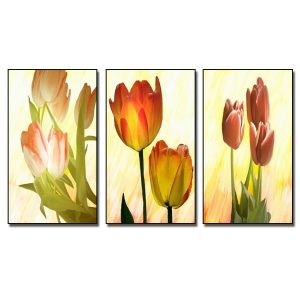 Bộ 3 bức tranh hoa tulip đẹp in canvas