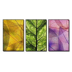 Bộ 3 bức tranh lá cây đẹp in canvas