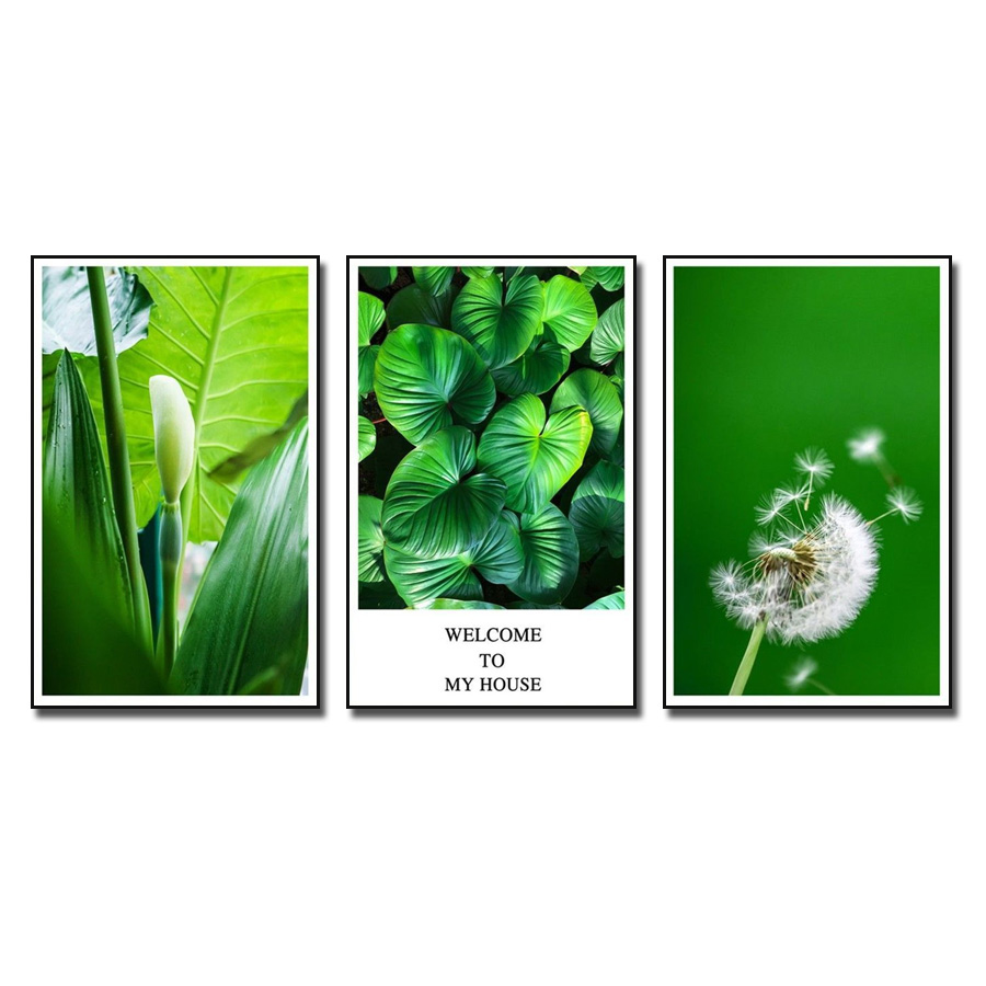 Bộ 3 bức tranh canvas lá cây xanh đẹp