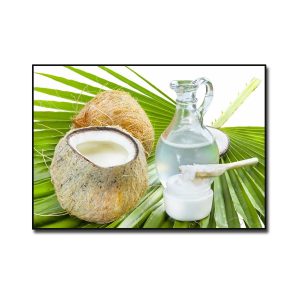 Tranh treo tường đẹp quả dừa, nước và tinh dầu