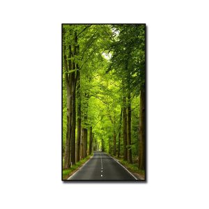 Bức tranh treo tường phong cảnh con đường xuyên qua rừng cây xanh