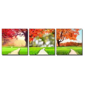 Bộ 3 bức tranh phong cảnh đẹp con đường cỏ xanh và cây phong lá đỏ