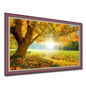 Bức tranh đẹp cây cổ thụ mùa thu lá vàng