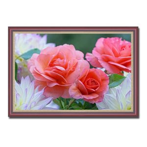 Mẫu tranh treo tường đẹp hình ảnh những bông hoa hồng