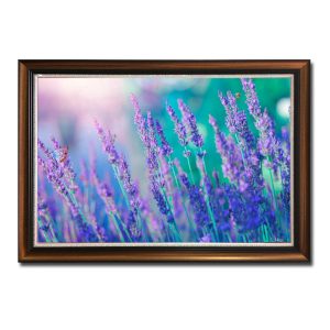 Tranh treo tường đẹp hình ảnh hoa oải hương lavender tím