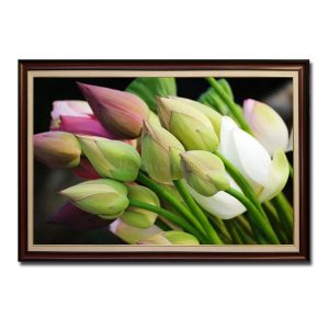 Bức tranh treo tường đẹp hình ảnh những bông hoa sen