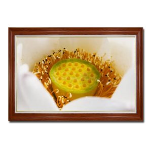 Toàn bộ khung hình bức tranh là bông hoa sen cánh trắng nhụy vàng phóng to cận cảnh
