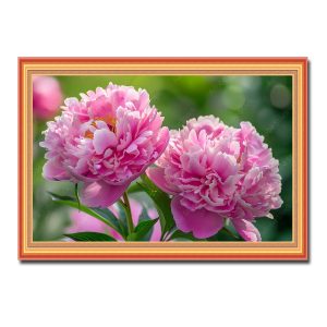 Bức tranh 2 bông hoa mẫu đơn đỏ đẹp treo phòng ngủ nam nữ độc thân cầu tình duyên
