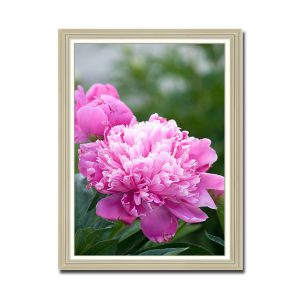Bức tranh treo tường khổ đứng đẹp 2 bông hoa mẫu đơn kích hoạt đường tình duyên