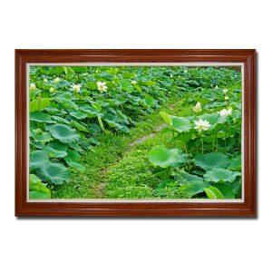 Bức tranh treo tường đẹp hình ảnh lối đi phủ cỏ xanh hai bên là đầm sen