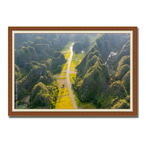 Hình ảnh dòng song Đồng Ngô và những thửa lúa chín lọt giữa núi non Ninh Bình hùng vỹ