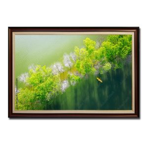 Tranh treo tường phong cảnh thiên nhiên đẹp với hình ảnh hàng cây trên sông nước nhìn từ trên cao