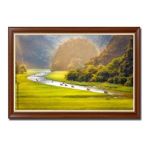Bức tranh đẹp hình ảnh dòng sông Ngô Đồng dưới nắng vàng