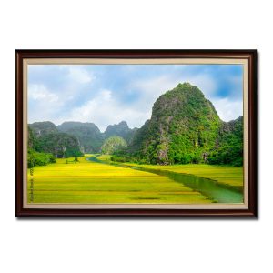Bức tranh treo tường đẹp phong cảnh Tam Cốc Bích Động Ninh Bình mùa lúa chín