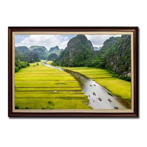 Bức tranh đẹp phong cảnh danh thắng Tràng An Ninh Bình mùa lúa chín