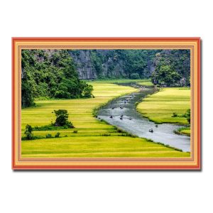 Tranh phong cảnh đẹp hình ảnh sông Ngô Đồng mùa lúa chín vàng