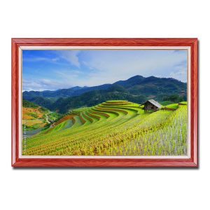 Bức tranh treo tường đẹp ruộng lúa bậc thang và phong cảnh núi rừng Amia67622