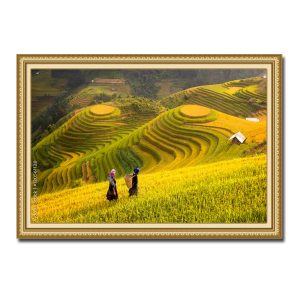 Tranh treo tường đẹp những phụ nữ dân tộc đi trên ruộng lúa bậc thang Amia61120