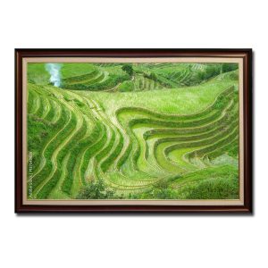 Bức tranh treo tường với những thửa ruộng bậc thang uốn cong đẹp mặt phủ màu xanh lúa mới cấy Amia3428