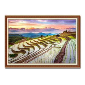 Bức tranh treo tường những thửa ruộng lúa bậc thang mới cấy đẹp và bầu trời rực hồng Amia77830
