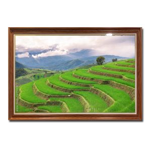 Bức tranh treo tường đẹp hình ảnh những thửa ruộng bậc thang lúa xanh mướt xếp lớp Amia74028