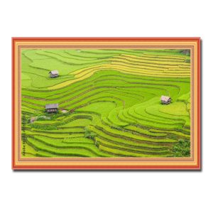 Bức tranh treo tường đẹp hình ảnh những thửa ruộng bậc thang và nhà sàn Amia31522
