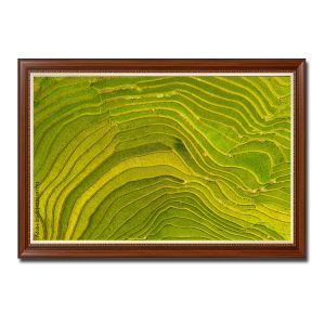 Tranh treo tường đẹp hình ảnh những thửa ruộng lúa bậc thang chụp từ trên cao Amia97793