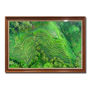 Bức tranh treo tường đẹp hình ảnh ruộng lúa bậc thang và cây cối xanh tươi Amia87169