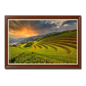 Tranh treo tường đẹp hình ảnh ruộng lúa bậc thang và núi non dưới ánh mặt trời rực rỡ Amia37599
