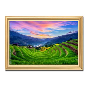 Bức tranh treo tường đẹp những thửa ruộng bậc thang uốn cong Amia20849