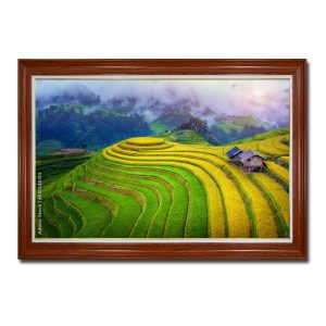 Bức tranh treo tường đẹp với những thửa ruộng bậc thang lúa chín vàng và xanh Amia46315