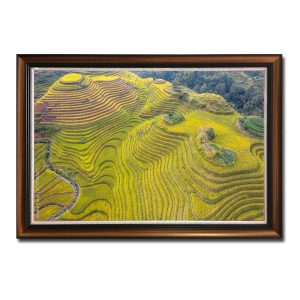 Một góc chụp đẹp ruộng lúa bậc thang từ trên cao trong bức tranh treo tường Amia98473