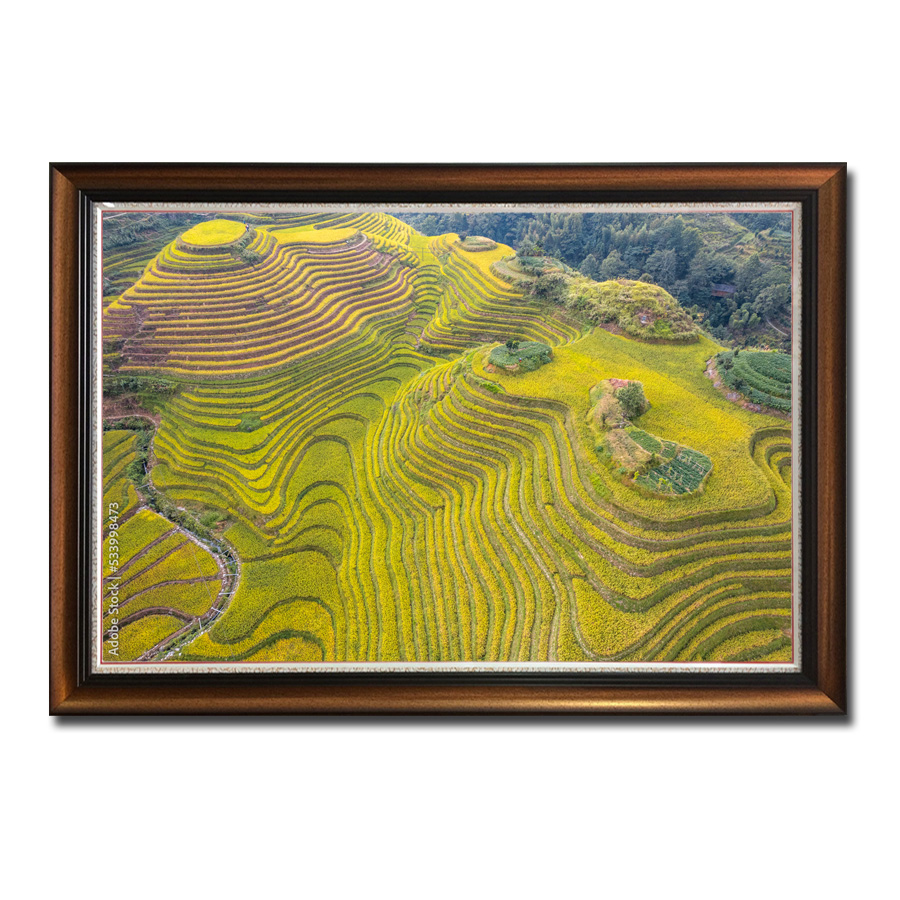 Một góc chụp đẹp ruộng lúa bậc thang từ trên cao trong bức tranh treo tường Amia98473