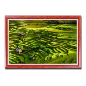 Hình ảnh bức tranh treo tường ruộng bậc thang đẹp Amia98399